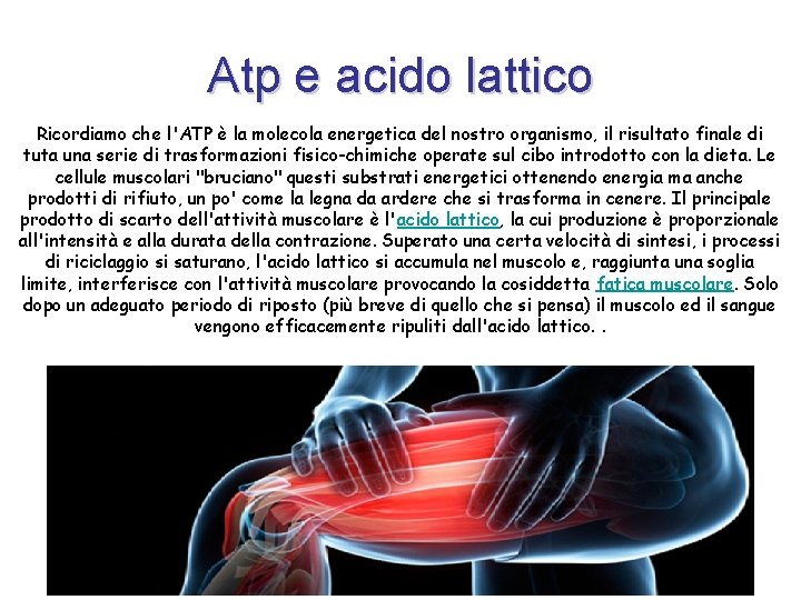 Atp e acido lattico Ricordiamo che l'ATP è la molecola energetica del nostro organismo,