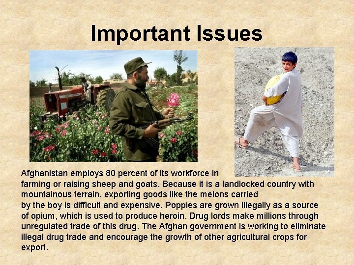 Important Issues Afghanistan employs 80 percent of its workforce in farming or raising sheep