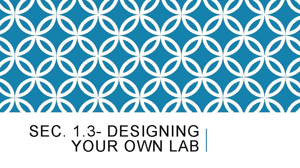 SEC. 1. 3 - DESIGNING YOUR OWN LAB 