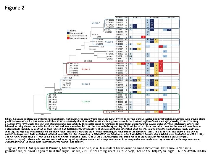 Figure 2. Genetic relationship of Neisseria gonorrhoeae multiantigen sequence typing sequence types (STs) of