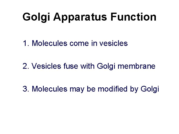 Golgi Apparatus Function 1. Molecules come in vesicles 2. Vesicles fuse with Golgi membrane