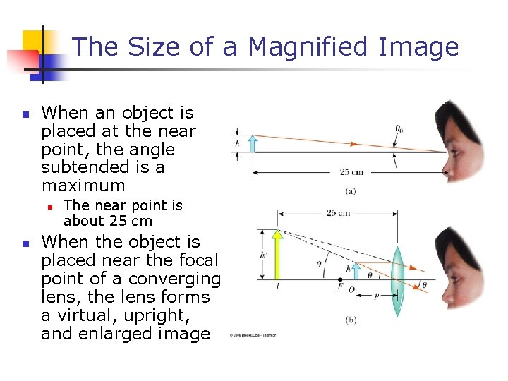 The Size of a Magnified Image n When an object is placed at the