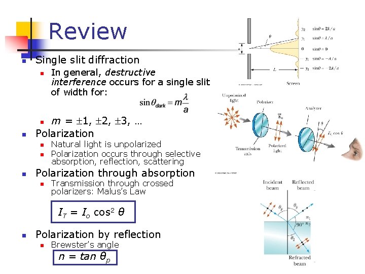 Review n Single slit diffraction n In general, destructive interference occurs for a single