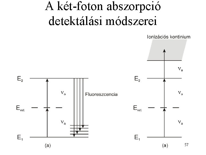 A két-foton abszorpció detektálási módszerei 57 