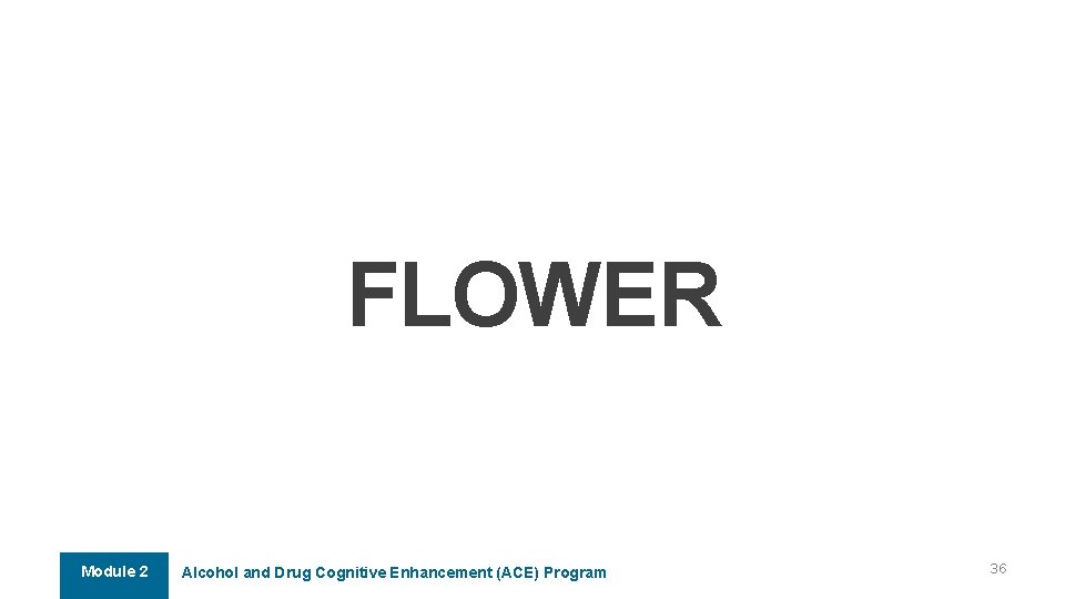 FLOWER Module 2 Alcohol and Drug Cognitive Enhancement (ACE) Program 36 FLOWER Module 2 Alcohol and Drug Cognitive Enhancement (ACE) Program 36