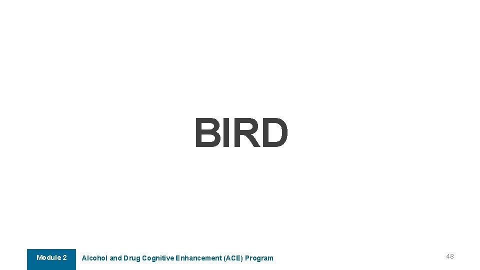 BIRD Module 2 Alcohol and Drug Cognitive Enhancement (ACE) Program 48 BIRD Module 2 Alcohol and Drug Cognitive Enhancement (ACE) Program 48