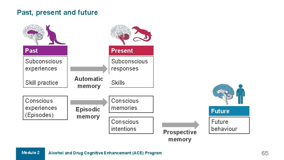 Past, present and future Past Present Subconscious experiences Subconscious responses Skill practice Conscious experiences Past, present and future Past Present Subconscious experiences Subconscious responses Skill practice Conscious experiences