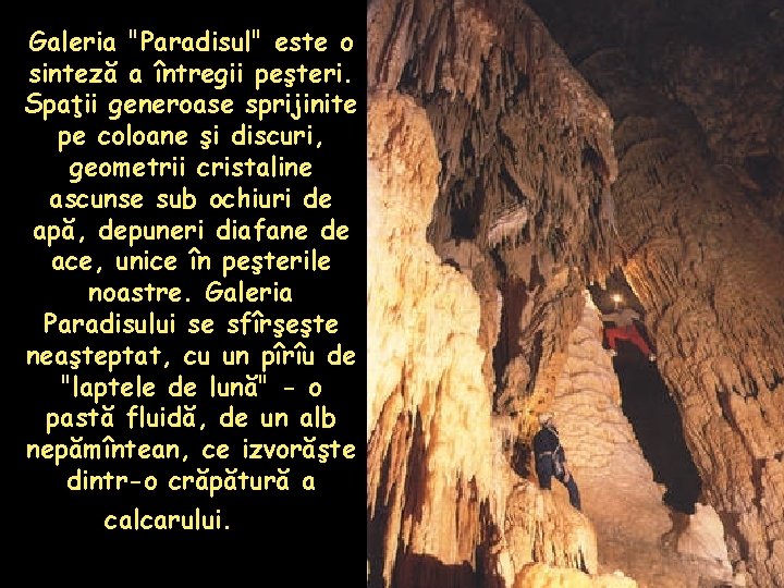 Galeria "Paradisul" este o sinteză a întregii peşteri. Spaţii generoase sprijinite pe coloane şi