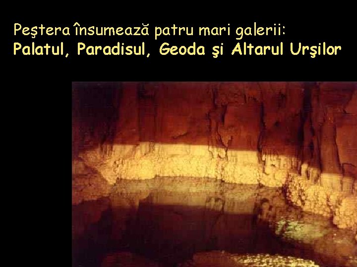 Peştera însumează patru mari galerii: Palatul, Paradisul, Geoda şi Altarul Urşilor 