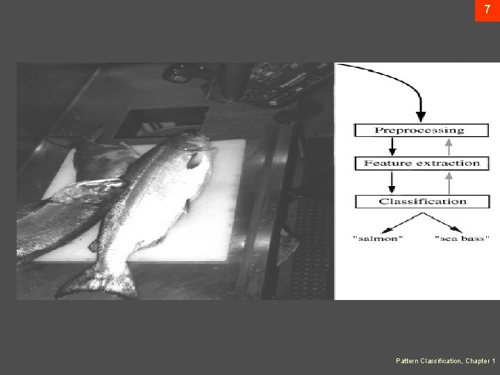 7 Pattern Classification, Chapter 1 