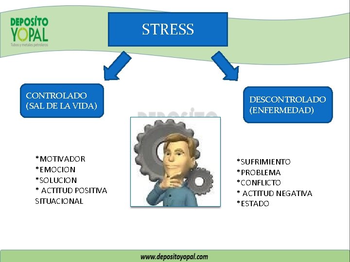 STRESS CONTROLADO (SAL DE LA VIDA) *MOTIVADOR *EMOCION *SOLUCION * ACTITUD POSITIVA SITUACIONAL DESCONTROLADO