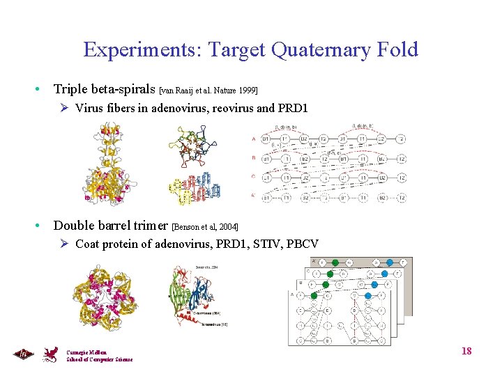 Experiments: Target Quaternary Fold • Triple beta-spirals [van Raaij et al. Nature 1999] Ø