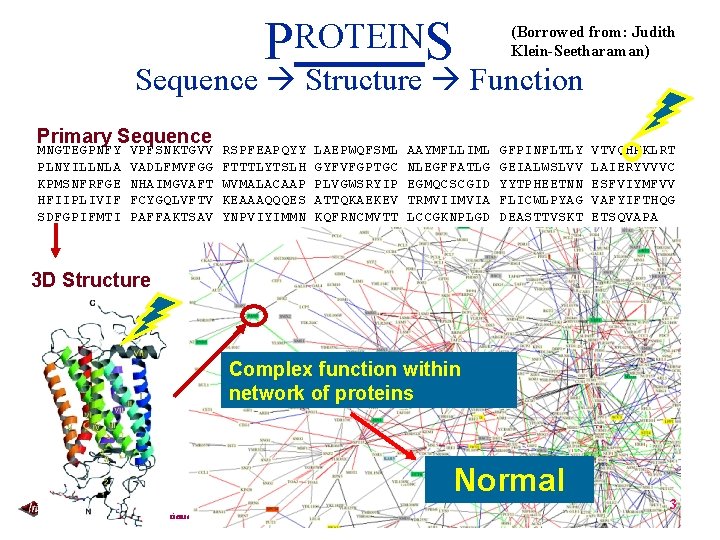 PROTEINS (Borrowed from: Judith Klein-Seetharaman) Sequence Structure Function Primary Sequence MNGTEGPNFY PLNYILLNLA KPMSNFRFGE HFIIPLIVIF