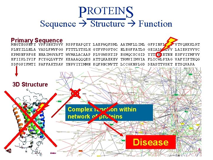 PROTEINS Sequence Structure Function Primary Sequence MNGTEGPNFY PLNYILLNLA KPMSNFRFGE HFIIPLIVIF SDFGPIFMTI VPFSNKTGVV VADLFMVFGG NHAIMGVAFT