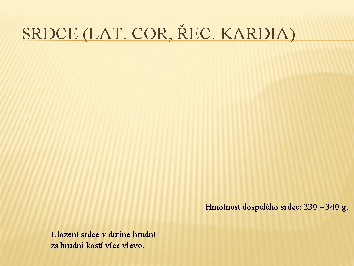 SRDCE (LAT. COR, ŘEC. KARDIA) Hmotnost dospělého srdce: 230 – 340 g. Uložení srdce