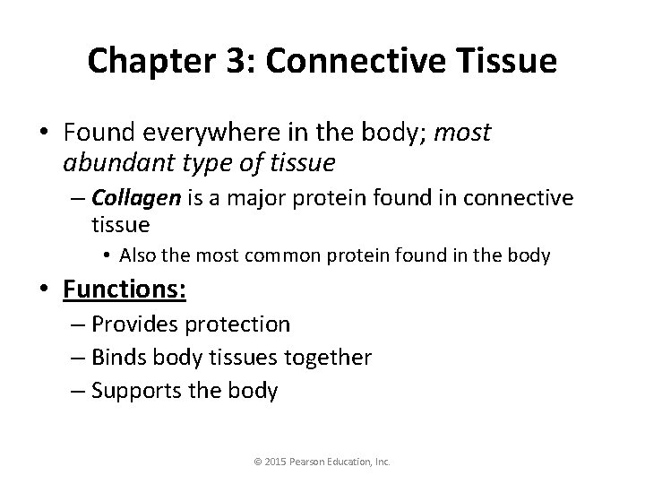 Chapter 3: Connective Tissue • Found everywhere in the body; most abundant type of