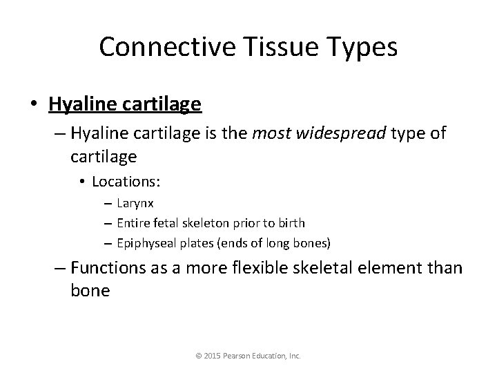 Connective Tissue Types • Hyaline cartilage – Hyaline cartilage is the most widespread type