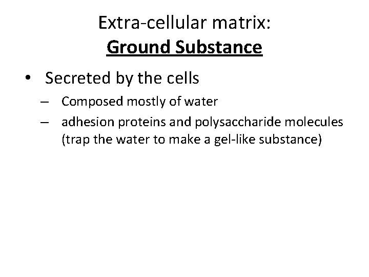 Extra-cellular matrix: Ground Substance • Secreted by the cells – Composed mostly of water