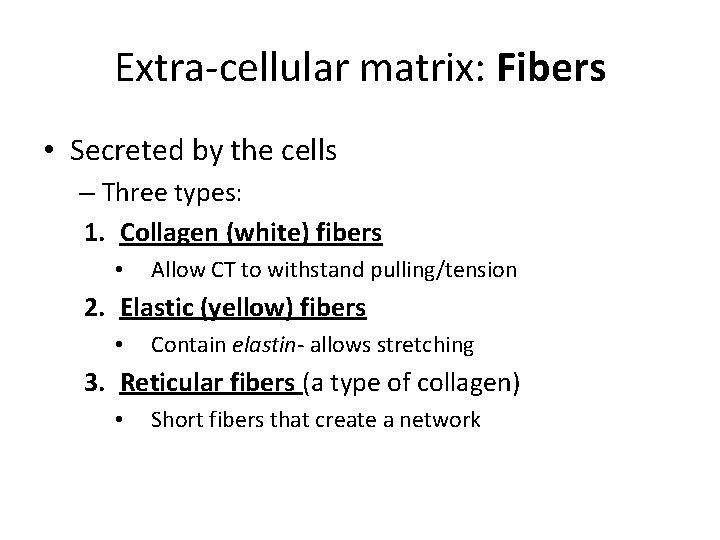 Extra-cellular matrix: Fibers • Secreted by the cells – Three types: 1. Collagen (white)