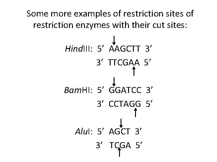 Some more examples of restriction sites of restriction enzymes with their cut sites: Hind.