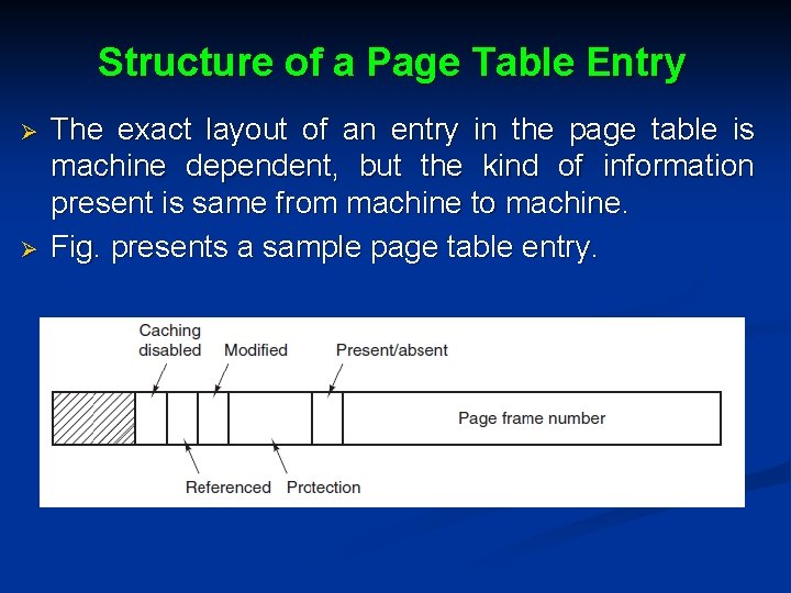 Structure of a Page Table Entry Ø Ø The exact layout of an entry