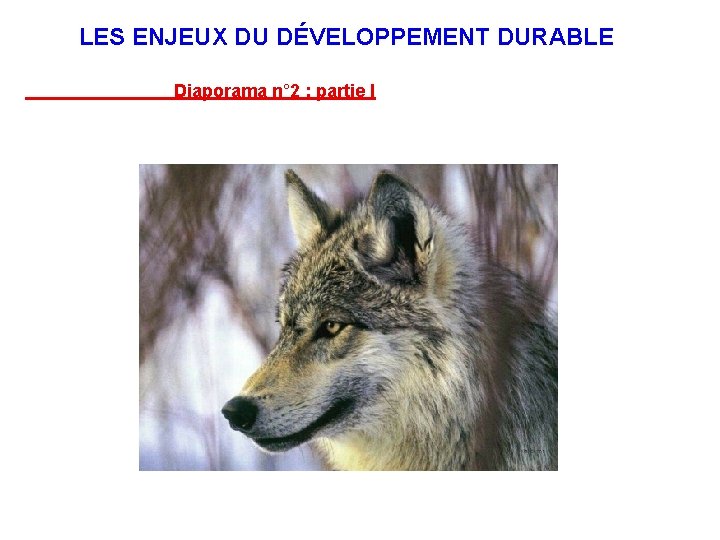 LES ENJEUX DU DÉVELOPPEMENT DURABLE Diaporama n° 2 : partie I 