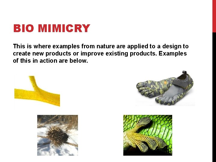 BIO MIMICRY This is where examples from nature applied to a design to create