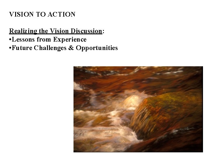 VISION TO ACTION Realizing the Vision Discussion: • Lessons from Experience • Future Challenges