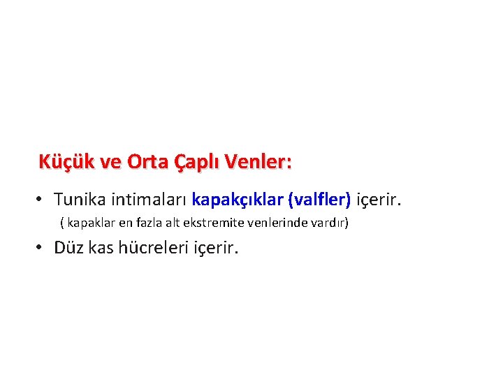 Küçük ve Orta Çaplı Venler: • Tunika intimaları kapakçıklar (valfler) içerir. ( kapaklar en