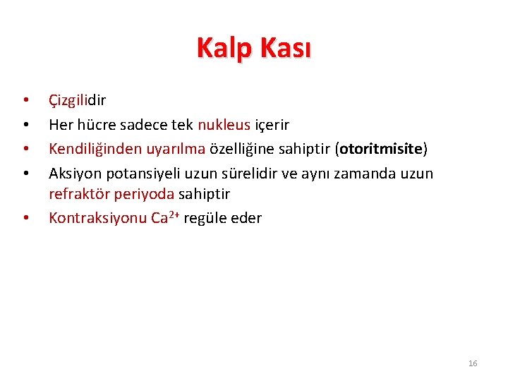 Kalp Kası • • • Çizgilidir Her hücre sadece tek nukleus içerir Kendiliğinden uyarılma