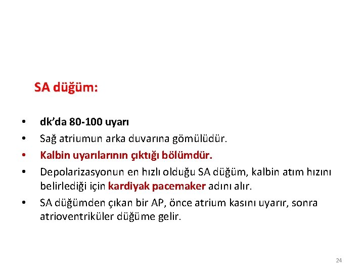 SA düğüm: • • • dk’da 80 -100 uyarı Sağ atriumun arka duvarına gömülüdür.