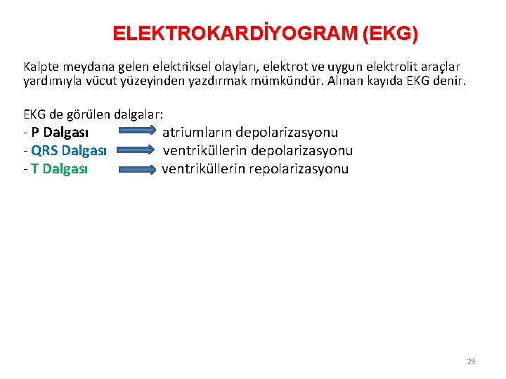 ELEKTROKARDİYOGRAM (EKG) Kalpte meydana gelen elektriksel olayları, elektrot ve uygun elektrolit araçlar yardımıyla vücut