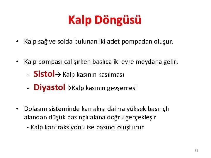 Kalp Döngüsü • Kalp sağ ve solda bulunan iki adet pompadan oluşur. • Kalp
