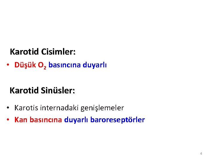 Karotid Cisimler: • Düşük O 2 basıncına duyarlı Karotid Sinüsler: • Karotis internadaki genişlemeler