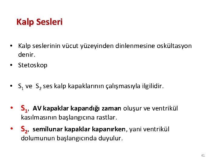 Kalp Sesleri • Kalp seslerinin vücut yüzeyinden dinlenmesine oskültasyon denir. • Stetoskop • S