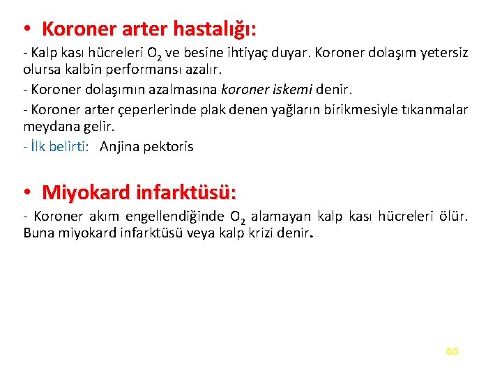  • Koroner arter hastalığı: - Kalp kası hücreleri O 2 ve besine ihtiyaç