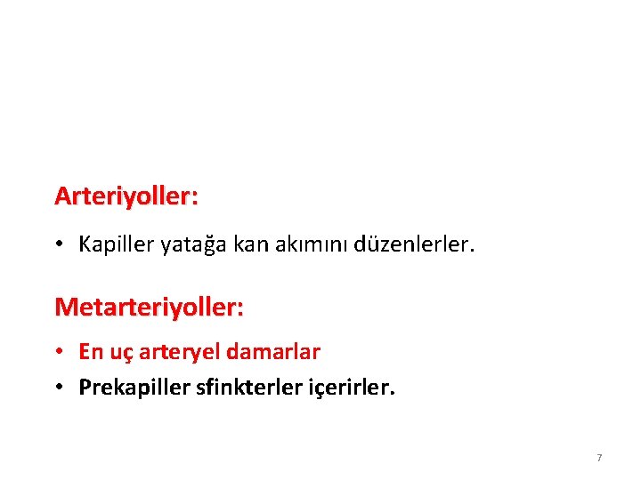 Arteriyoller: • Kapiller yatağa kan akımını düzenlerler. Metarteriyoller: • En uç arteryel damarlar •