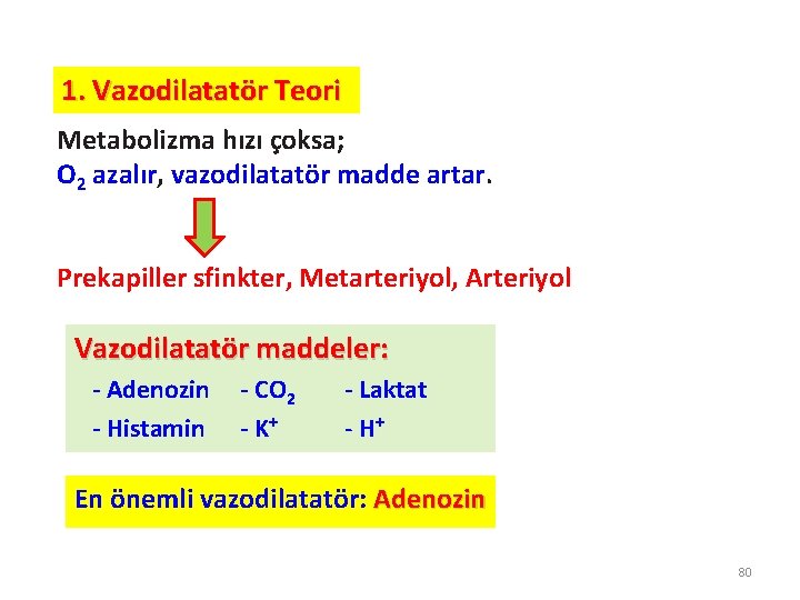 1. Vazodilatatör Teori Metabolizma hızı çoksa; O 2 azalır, vazodilatatör madde artar. Prekapiller sfinkter,