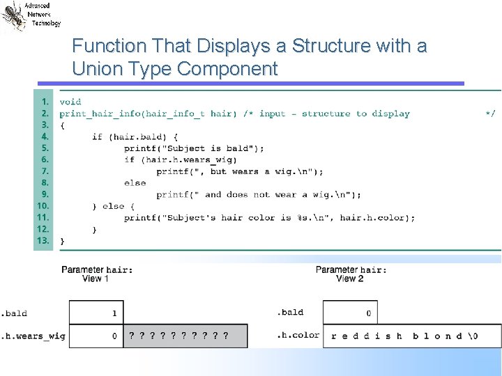 Function That Displays a Structure with a Union Type Component 