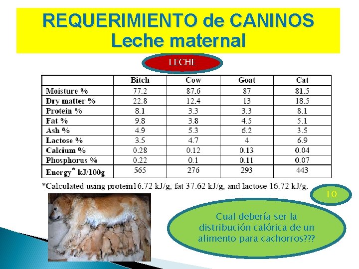 REQUERIMIENTO de CANINOS Leche maternal LECHE 10 Cual debería ser la distribución calórica de