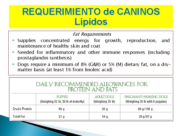 REQUERIMIENTO de CANINOS Lipidos Fat Requirements Supplies concentrated energy for growth, reproduction, and maintenance