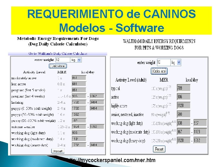 REQUERIMIENTO de CANINOS Modelos - Software http: //mycockerspaniel. com/mer. htm 