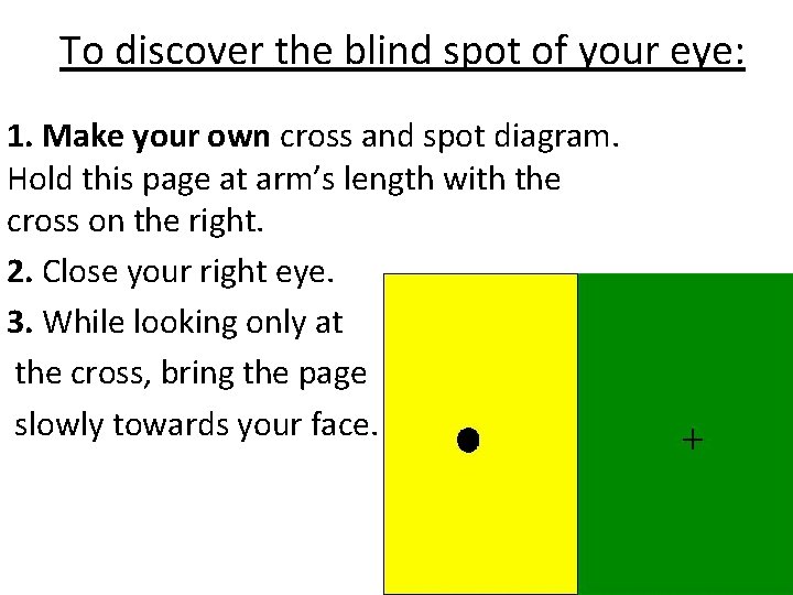 To discover the blind spot of your eye: 1. Make your own cross and