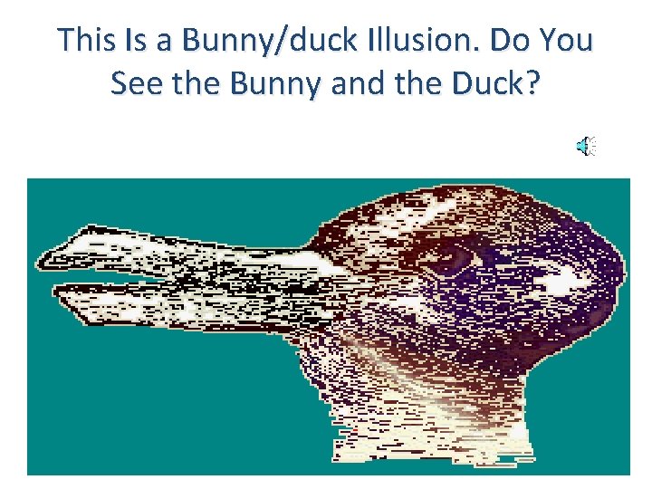 This Is a Bunny/duck Illusion. Do You See the Bunny and the Duck? 
