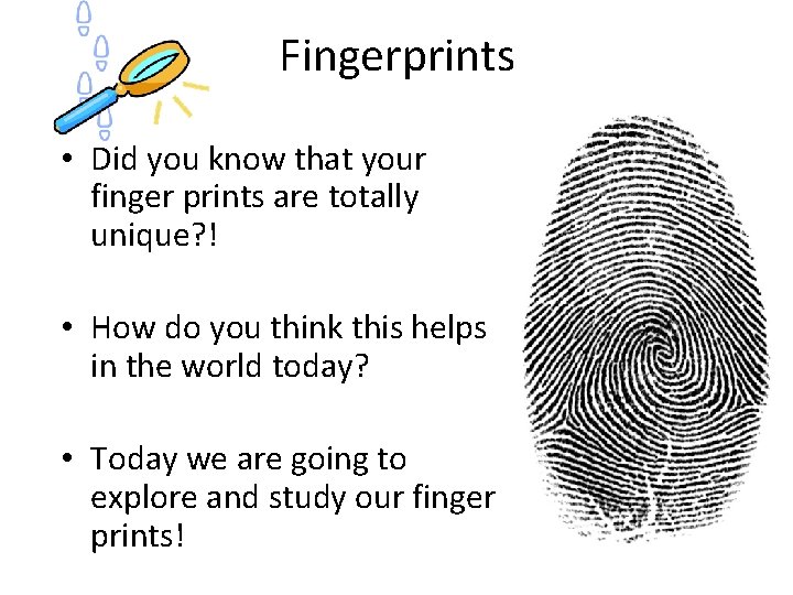 Fingerprints • Did you know that your finger prints are totally unique? ! •