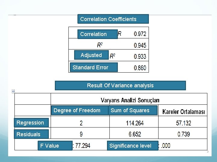 Correlation Coefficients Correlation Adjusted Standard Error Result Of Variance analysis Degree of Freedom Sum