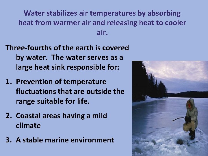 Water stabilizes air temperatures by absorbing heat from warmer air and releasing heat to