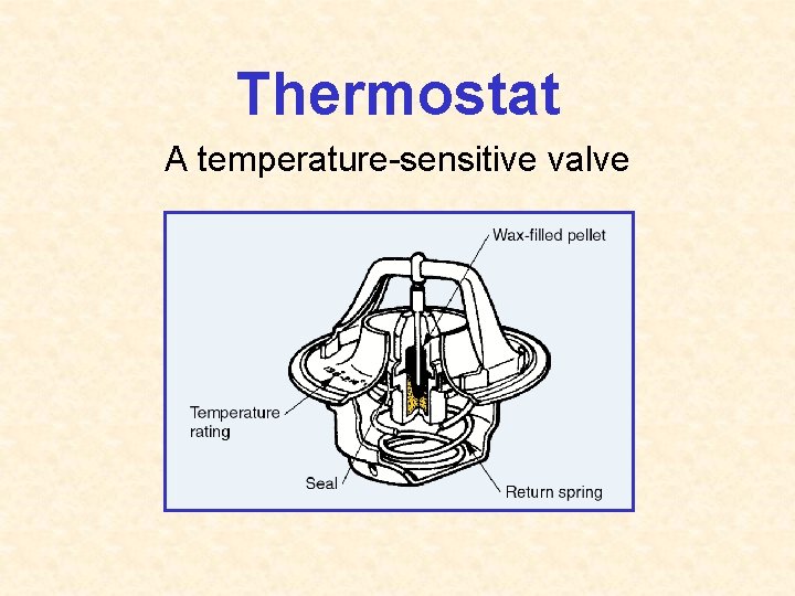 Thermostat A temperature-sensitive valve 