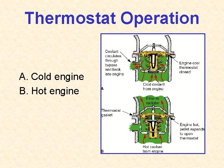 Thermostat Operation A. Cold engine B. Hot engine 