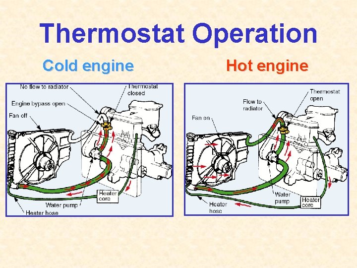 Thermostat Operation Cold engine Hot engine 